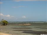 La Guancha - PONCE
